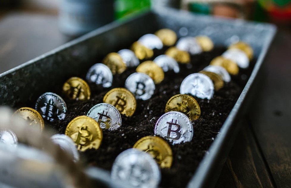 ABD'deki Spot Bitcoin ETF'lerinin 192 milyon dolarlık en büyük sermaye girişini kaydettiği ve bunun piyasaları sarstığı bildirildi.